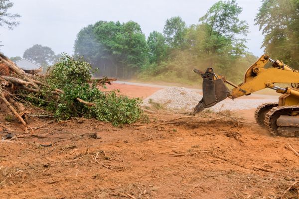 Cost of Ground Clearing in Pflugerville