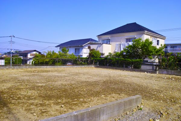 Cost of Lot Clearing Service in Pflugerville