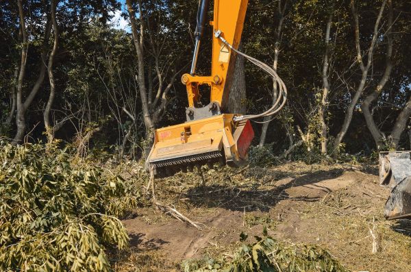 Cost of Brush Removal Service in Pflugerville