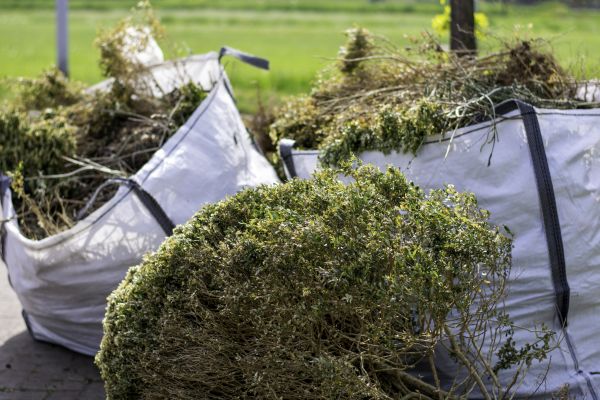 Cost of Bushes Clearing in Pflugerville